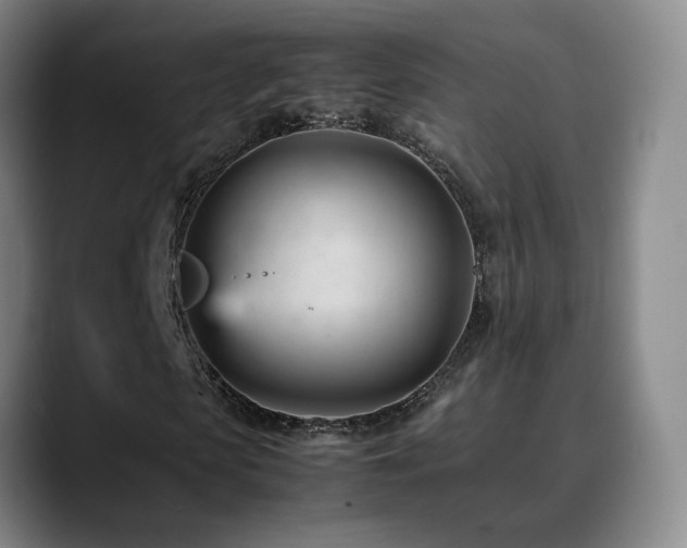 X0000089450913200706151429