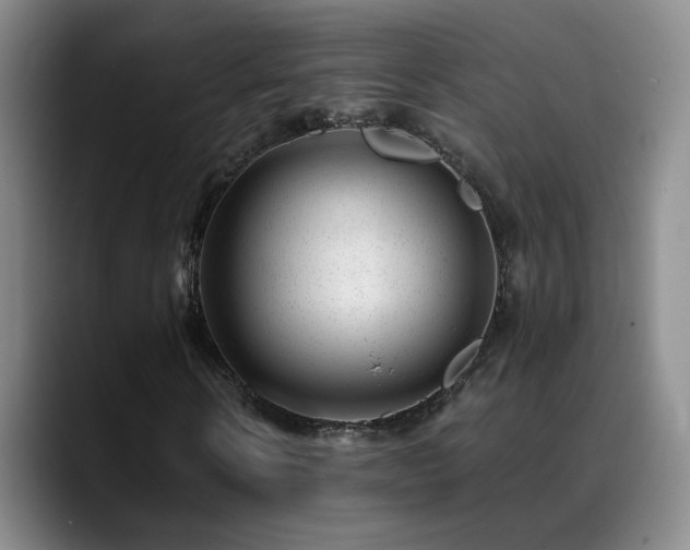 X0000089450914200706151429