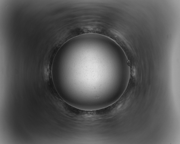X0000089450915200706151429