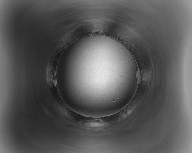 X0000089450916200706151429