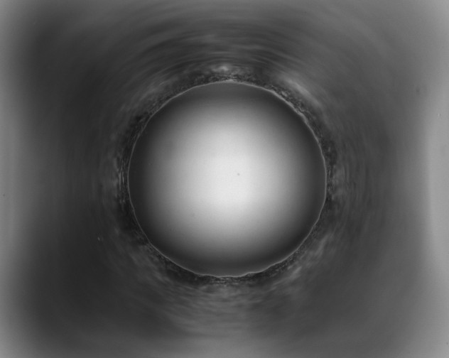 X0000089450917200706151429