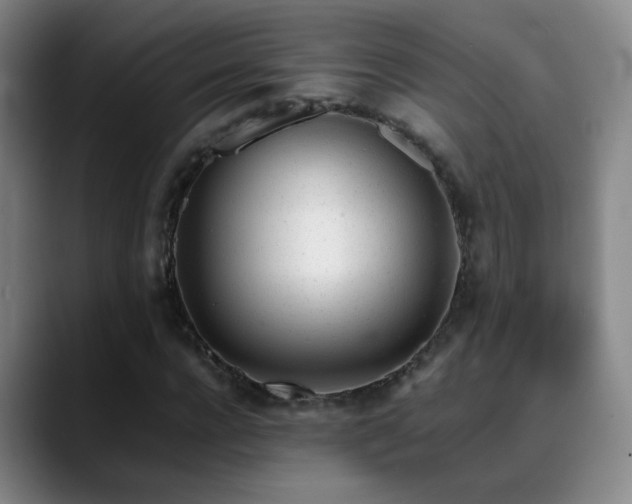 X0000089450920200706151429