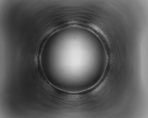 X0000089450921200706151429