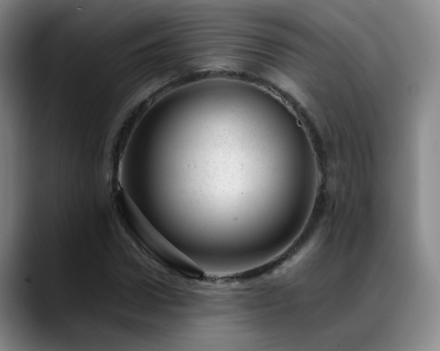 X0000089450922200706151429