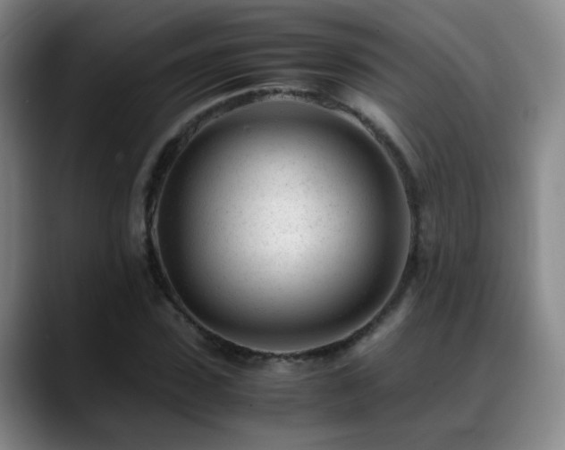 X0000089450923200706151429