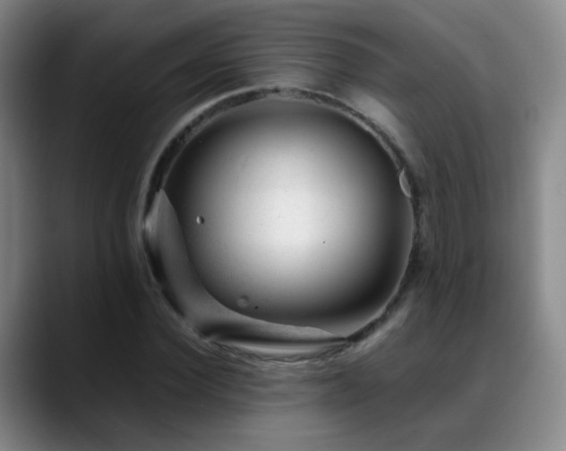 X0000089450924200706151429