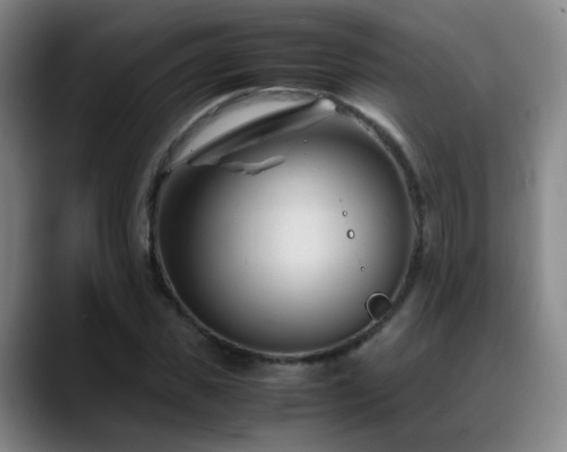 X0000089450925200706151429
