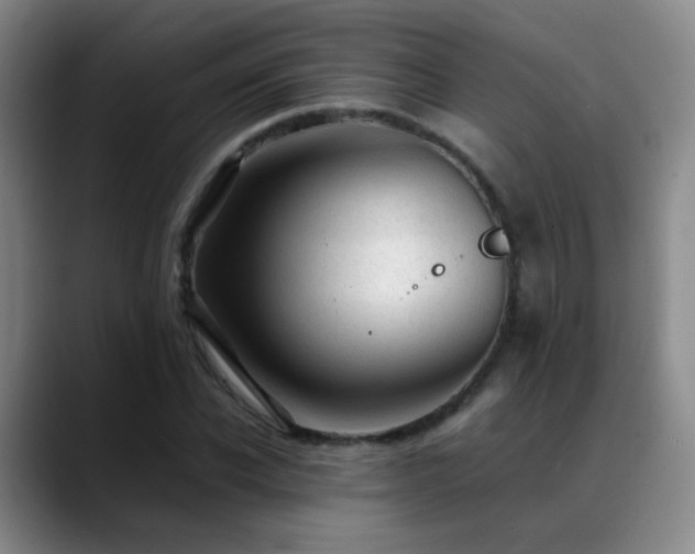 X0000089450926200706151429