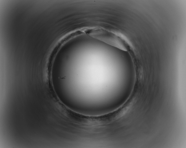 X0000089450927200706151429