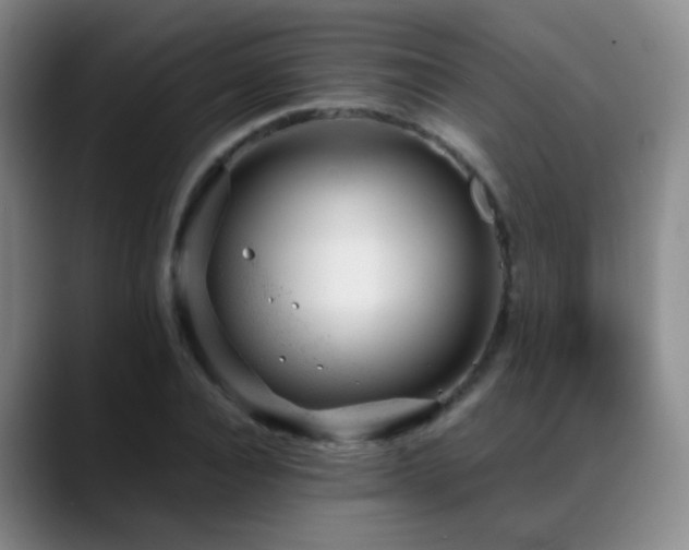 X0000089450928200706151429