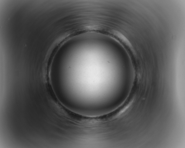 X0000089450930200706151429