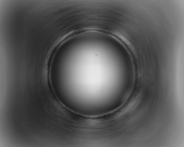 X0000089450933200706151429