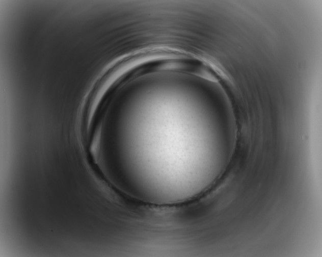 X0000089450934200706151429