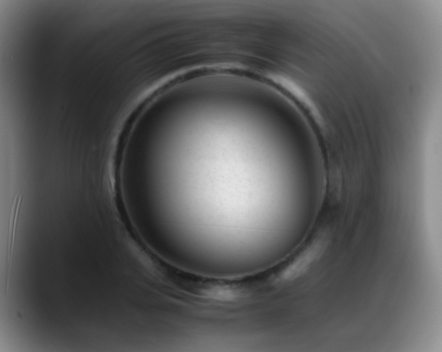 X0000089450935200706151429