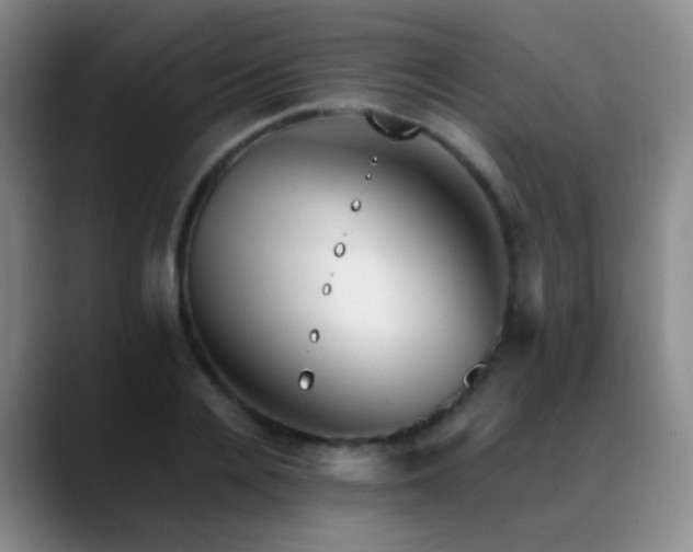 X0000089450936200706151429