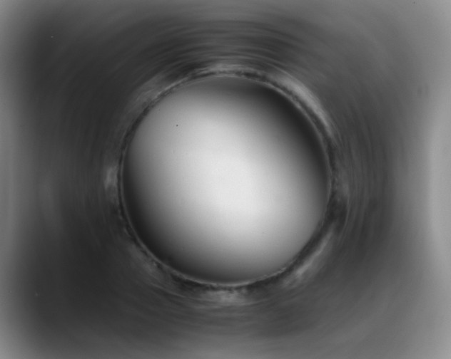X0000089450937200706151429