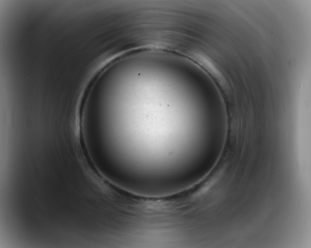 X0000089450940200706151429