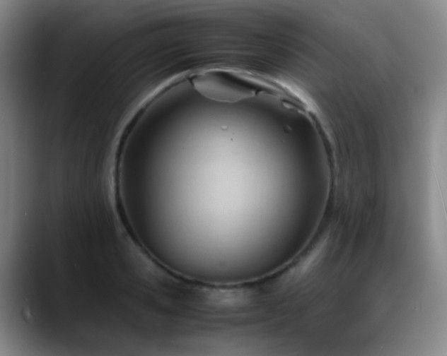 X0000089450941200706151429