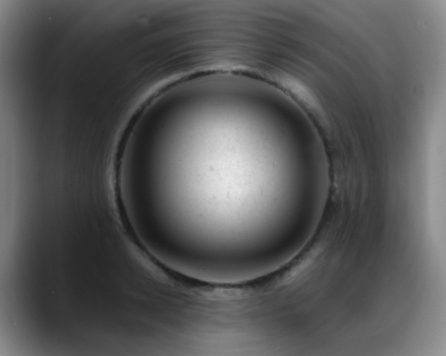 X0000089450942200706151429