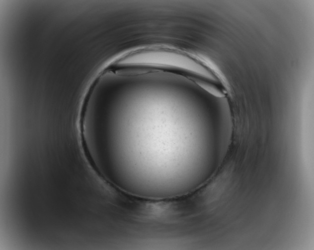 X0000089450943200706151429