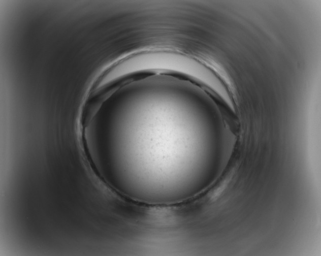 X0000089450944200706151429