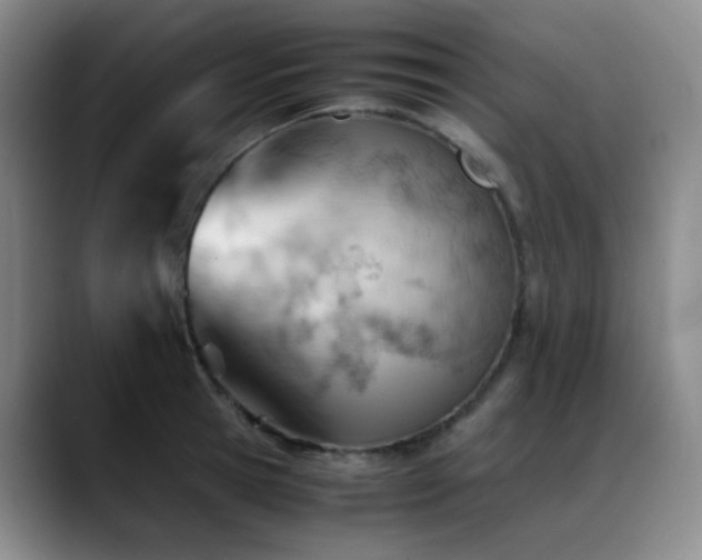 X0000089450945200706151429