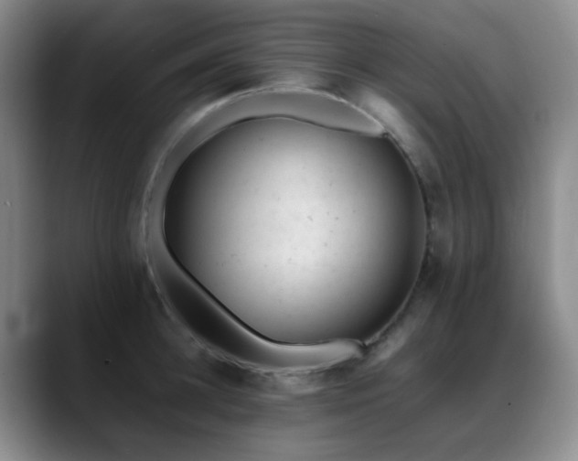 X0000089450948200706151429
