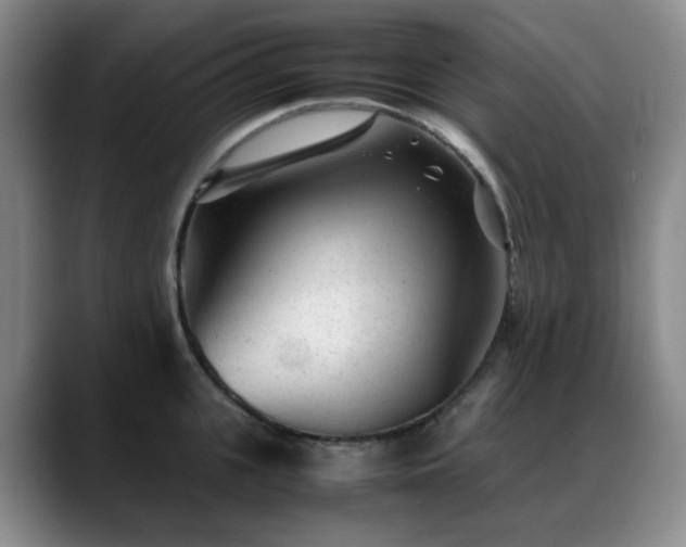 X0000089450951200706151429
