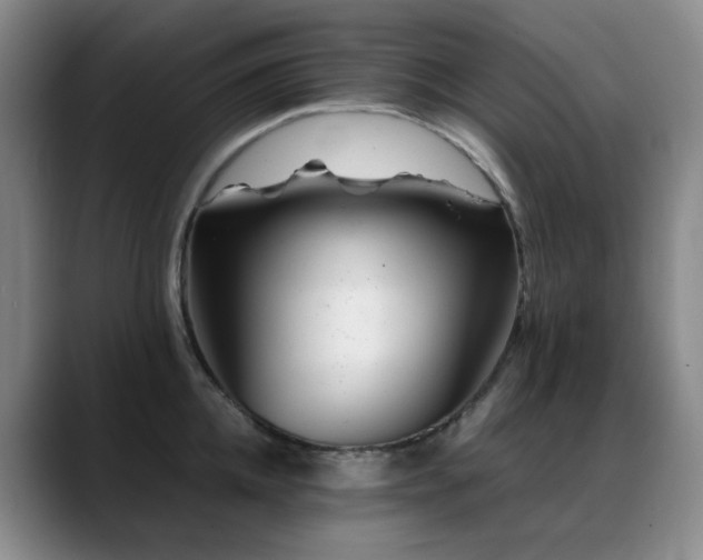X0000089450952200706151429