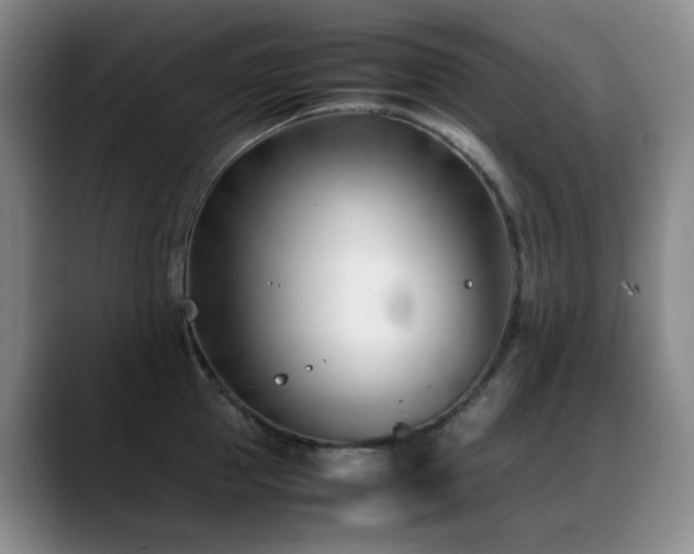 X0000089450953200706151429