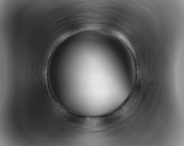 X0000089450954200706151429