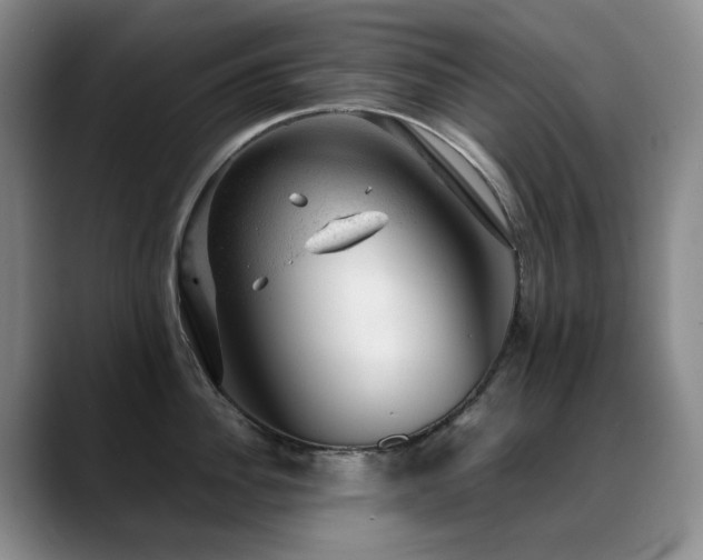 X0000089450956200706151429