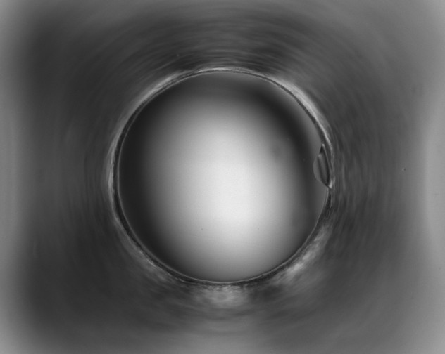 X0000089450957200706151429