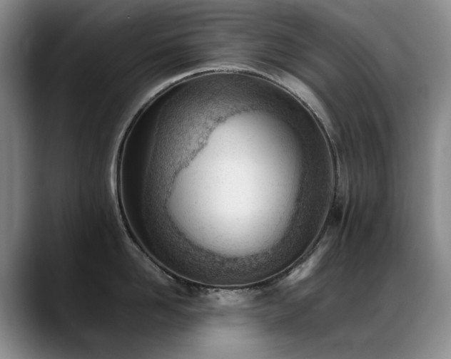 X0000089450958200706151429