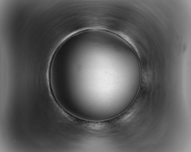 X0000089450959200706151429