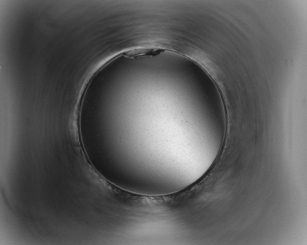 X0000089450960200706151429