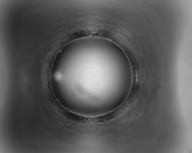 X0000089450961200706151429