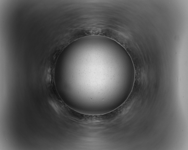 X0000089450962200706151429