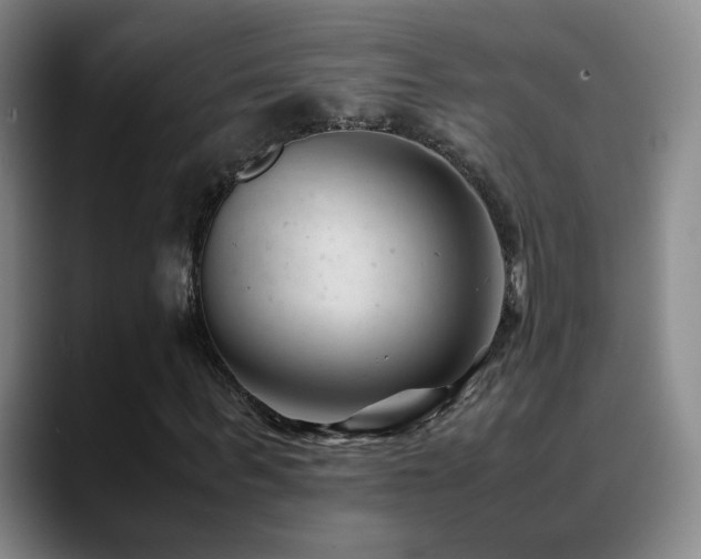 X0000089450963200706151429
