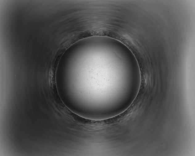X0000089450964200706151429