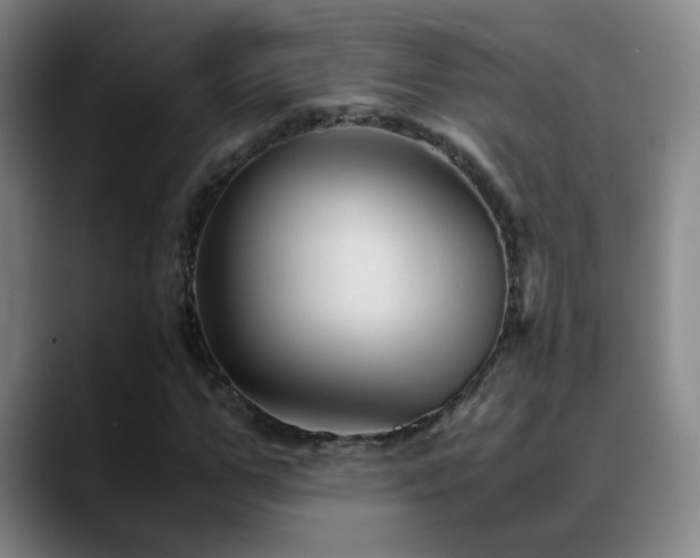 X0000089450967200706151429