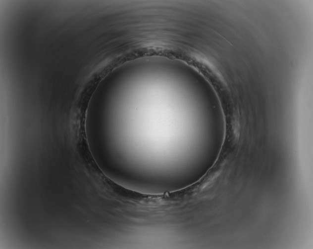 X0000089450968200706151429