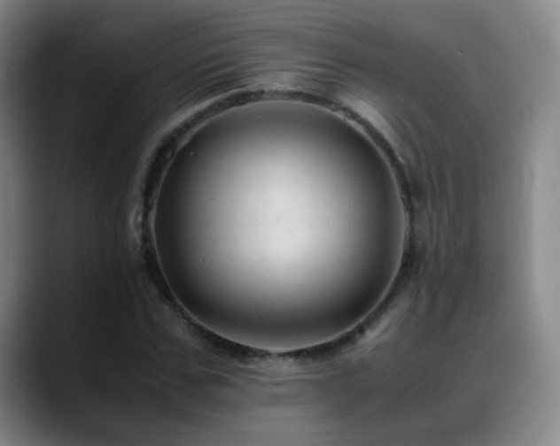 X0000089450971200706151429