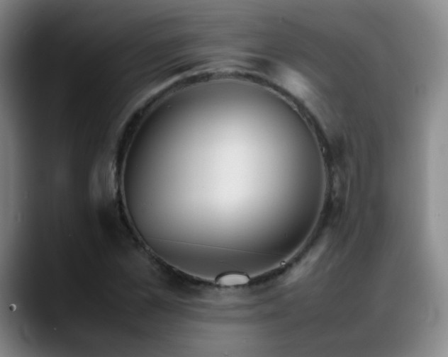 X0000089450973200706151428