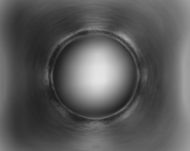 X0000089450974200706151428