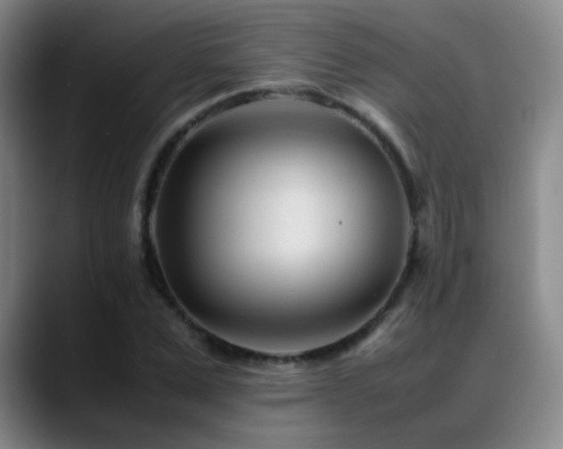 X0000089450975200706151428