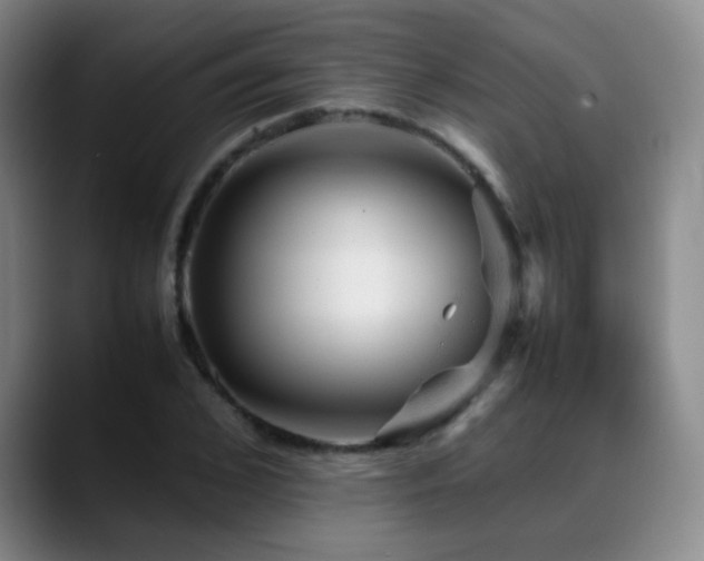 X0000089450976200706151428