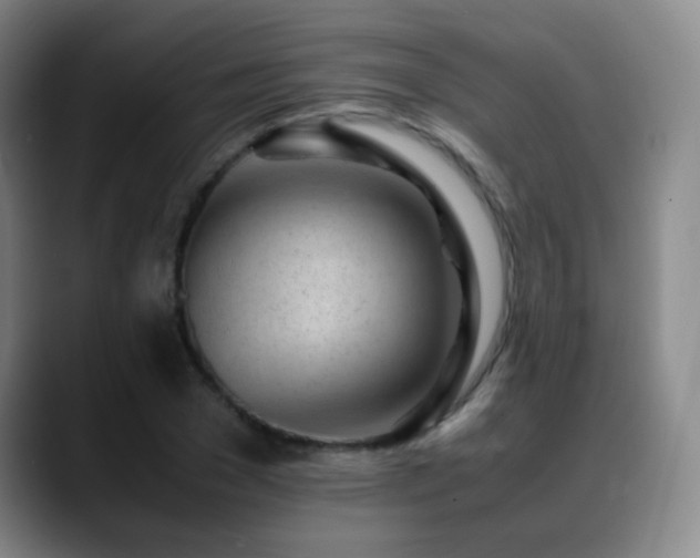 X0000089450977200706151428