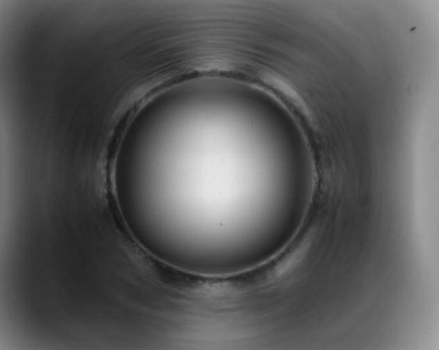 X0000089450978200706151428