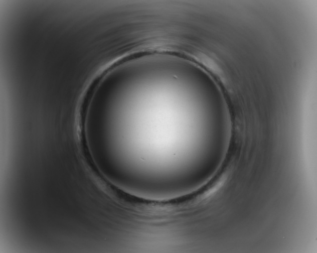 X0000089450981200706151428